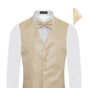 Men's Premium Vertical Lines Tone on Tone Stripes Vest - NeckTie – Bow Tie - Pocket Square 4 Piece Set for Suits & Tuxedos-Many Colors