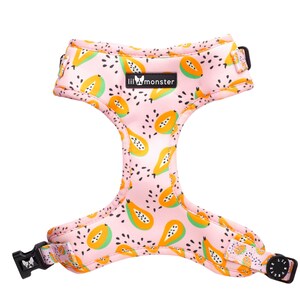 Adjustable dog harness | Papaya Print | Pink | Green | Dog harness