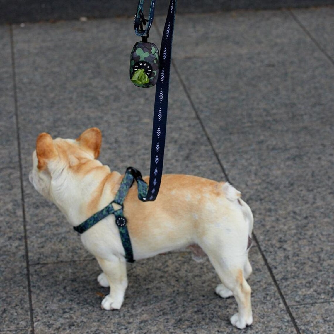 Reversible dog harness leash poop bag bundle Camouflage Etsy