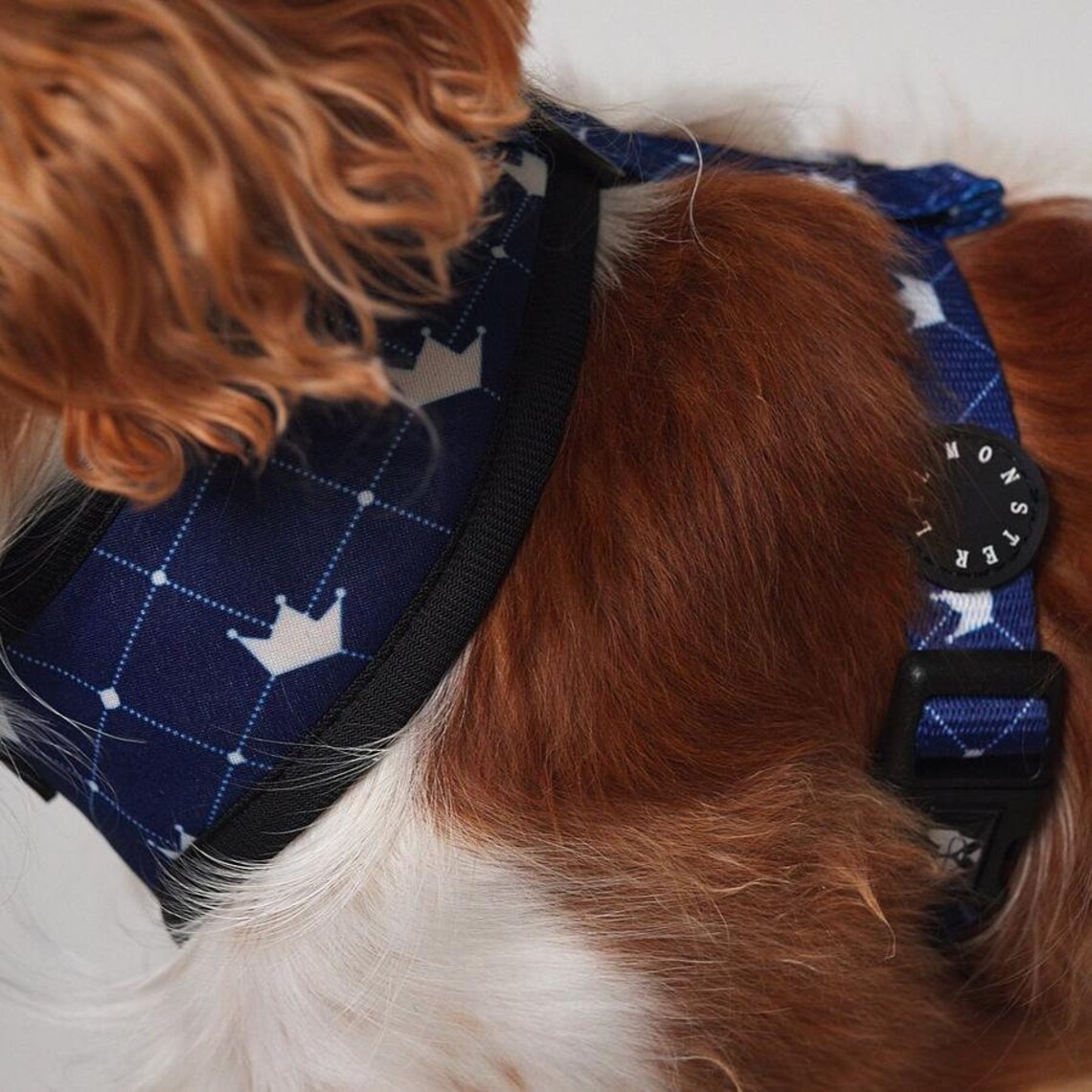 Reversible dog harness Leash Poop Bag Bundle Crown print Etsy