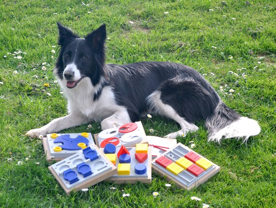 Juguetes interactivos para perros Border collie Juguetes - Etsy España