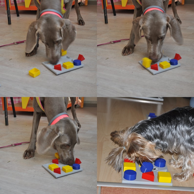 Dog brain toys Mind game CHALLENGE your dog image 2