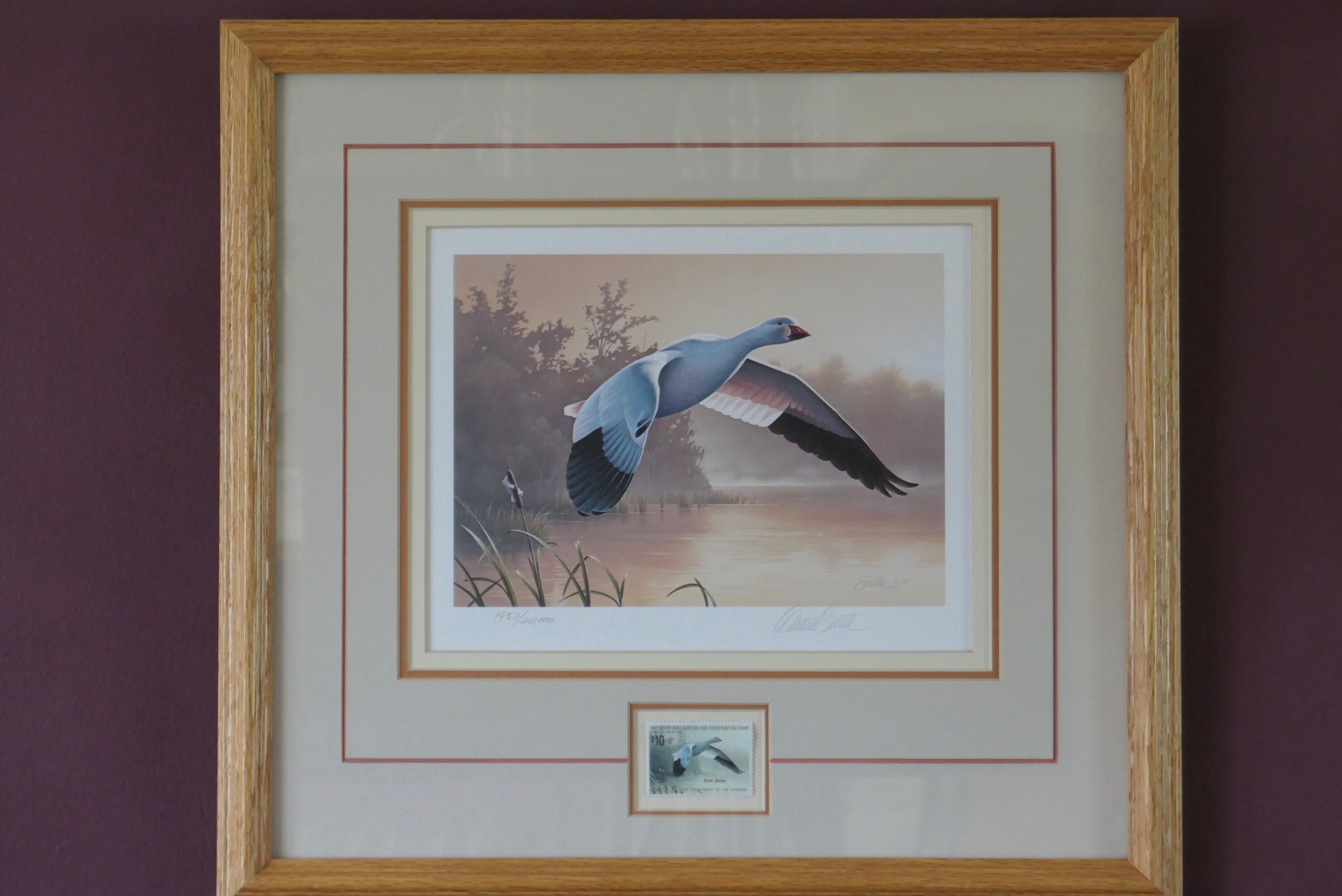 1988 Migratory Bird Hunting & Conservation Stamp and Signed Print Etsy