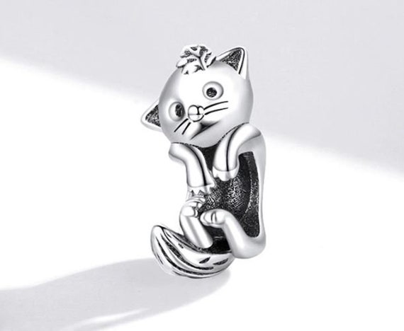 MOWIMO Birthstone Bead Charm 925 Sterling Silver Cat Charm Evil Eye Dream  Catcher Ocean Heart Paw Love Pendant Charm for Original Bracelet Necklace  price in Saudi Arabia | Amazon Saudi Arabia | kanbkam