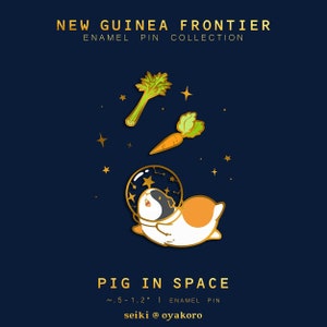 Conjunto de pines de la frontera de Nueva Guinea