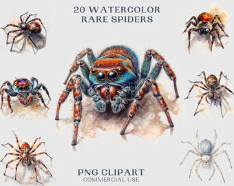 20 Watercolor Spiders Clipart Pack, Clipart for commercial use, Transparent PNGs