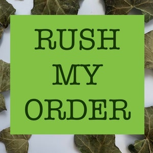 RUSH MIJN BESTELLING: add-on voor bestelling