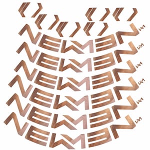 以下が含まれることがあります： ヘリンボーン柄と「NEWMAN」という文字が繰り返される、木目調のブラウンビニールステッカー5枚セット。自転車のリムに貼るように設計されています。