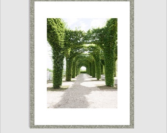 France Photography, Europe Fine Art, Arbor in the Park, Arches of leaves, Green Plant Art Print,French Art, Provence Wall Art, France Travel