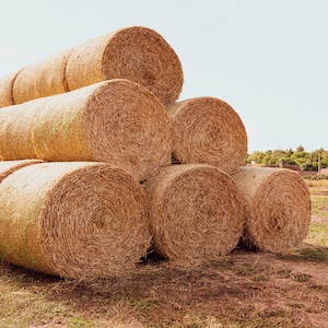 Hay Bales Print Set 2, French province, France Photography, Farmhouse Wall Art,Rustic Wall Decor, Provence Wall Art, Country Wall Decor
