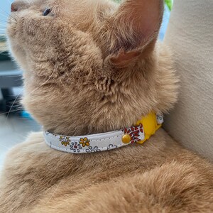 May include: A close-up of a ginger cat wearing a white and yellow floral collar with a gold buckle. The cat is looking up and has its mouth slightly open.