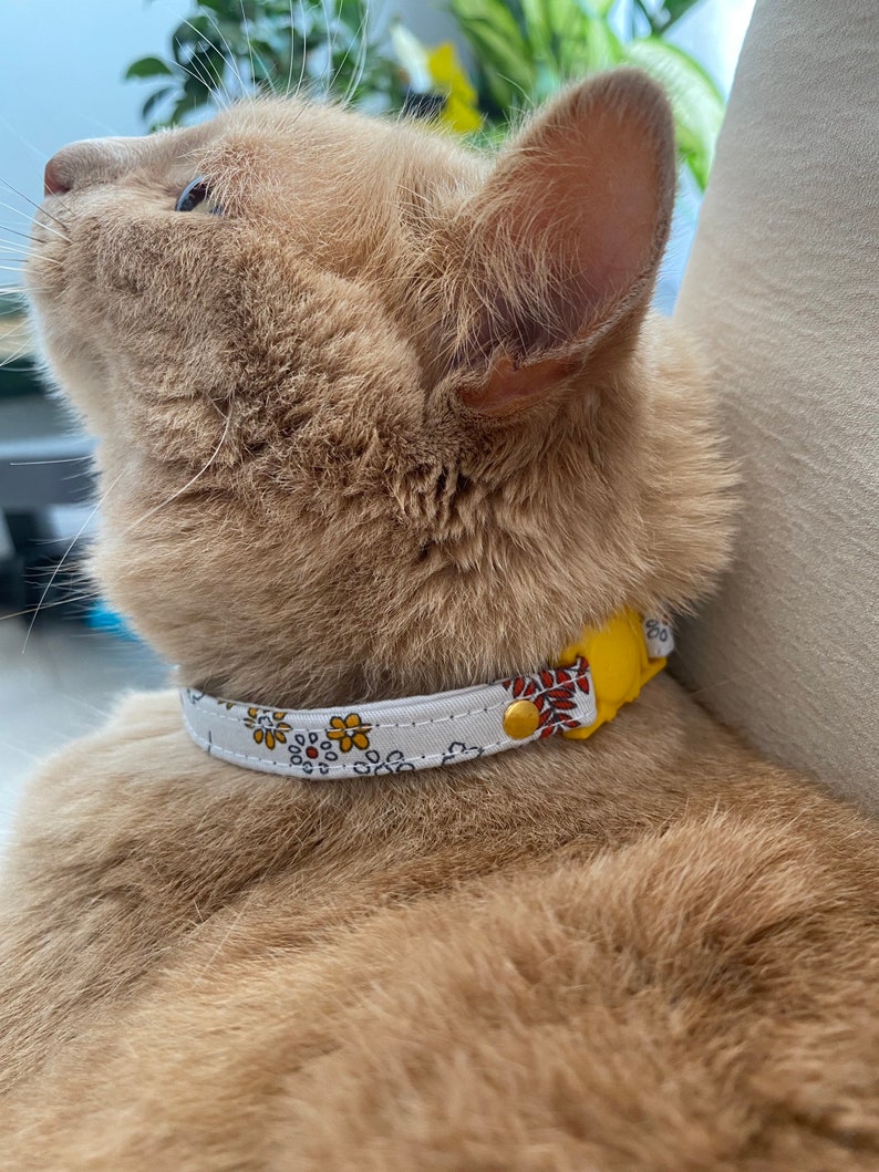 May include: A close-up of a ginger cat wearing a white and yellow floral collar with a gold buckle. The cat is looking up and has its mouth slightly open.