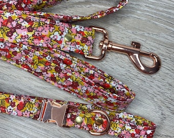 Pet leash / dog leash / cat leash / adjustable leash / pet leash / 25mm leash / 15mm leash / walking leash