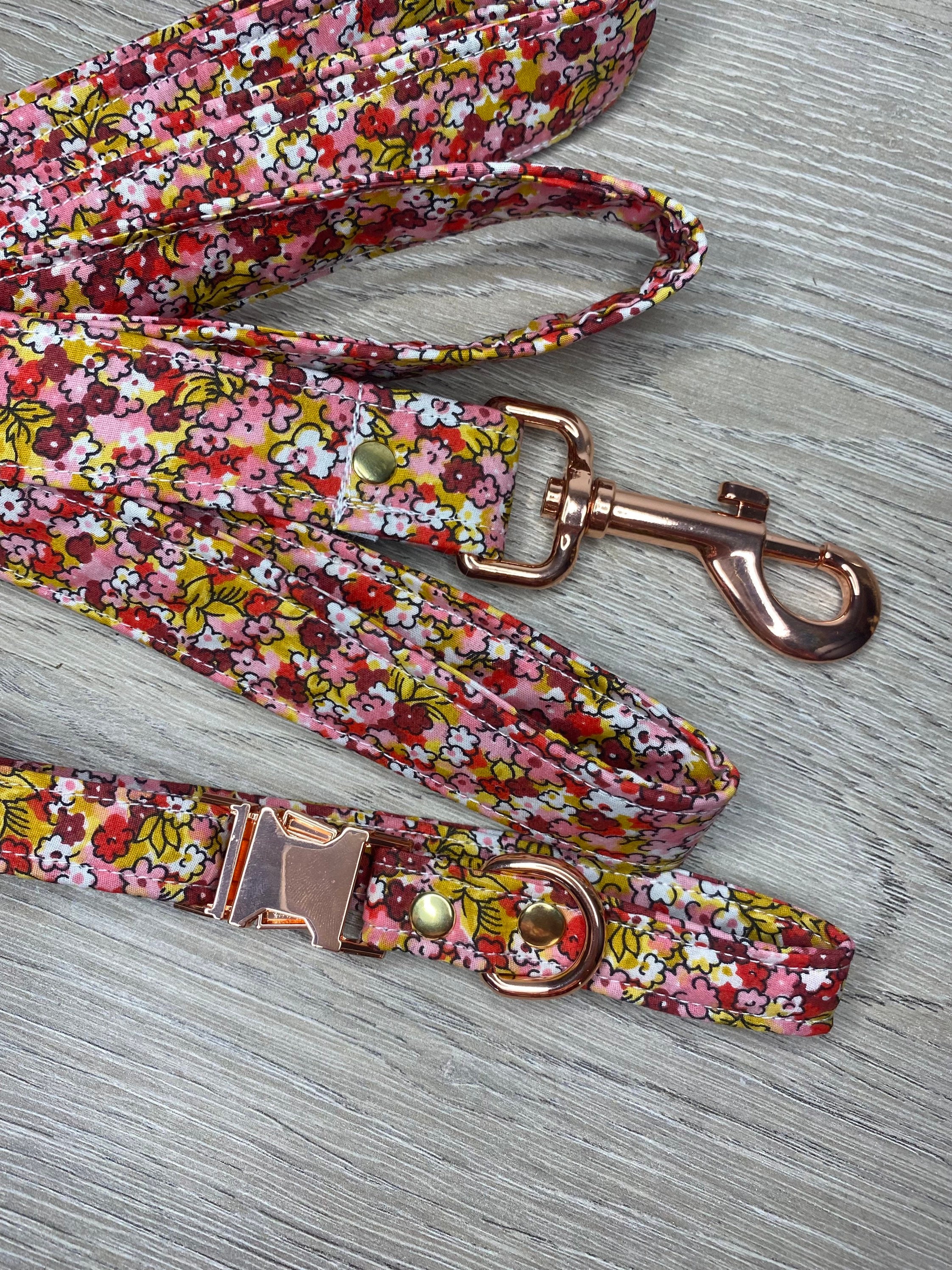 Laisse Animaux/Laisse Chien Chat Réglable de Compagnie 25mm 15mm Promenade