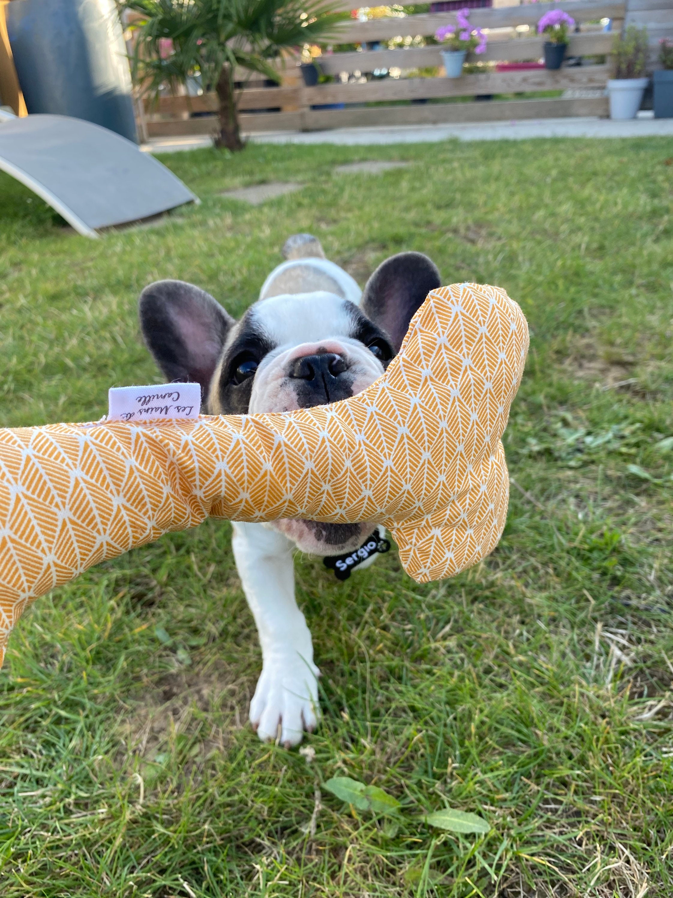 Os en Peluche/Protège Passeport Animaux Chien Chat Jouet Os Peluche