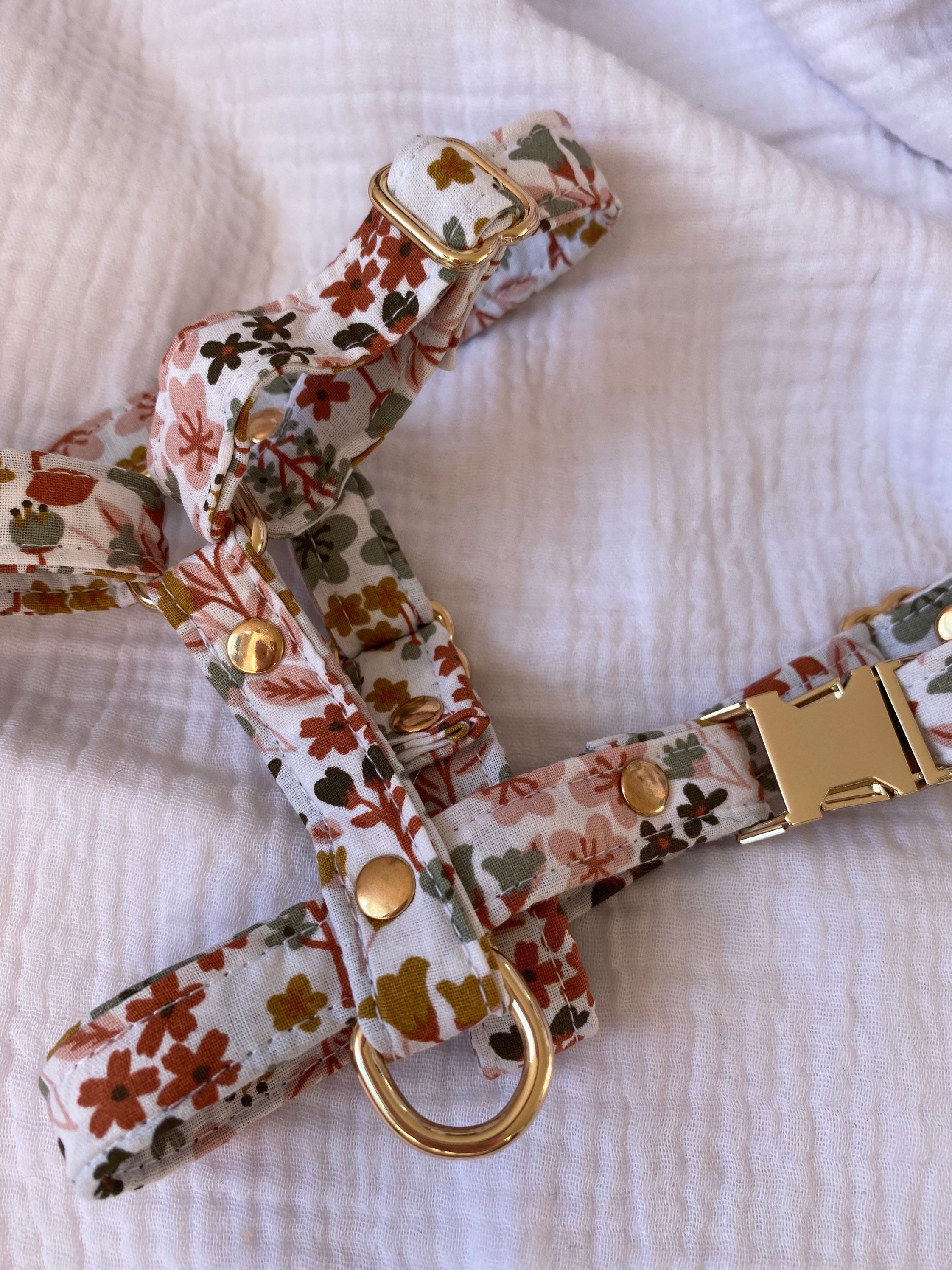 Harnais Chien/Harnais Chat Promenade Balade en Animaux de Compagnie H Reglable