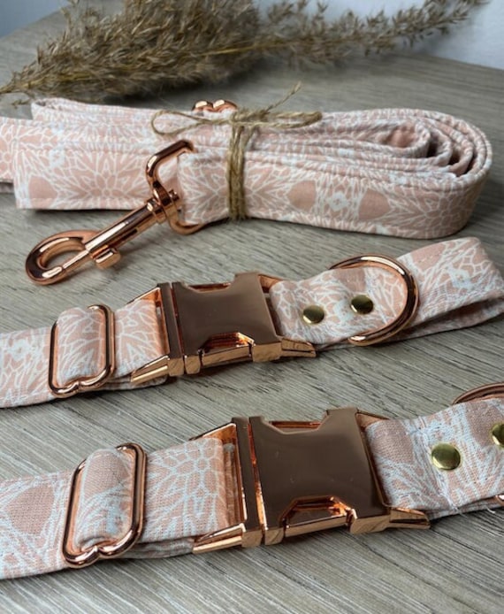 Collier Chien/Collier Chat Animaux de Compagnie 15mm 25mm Réglable