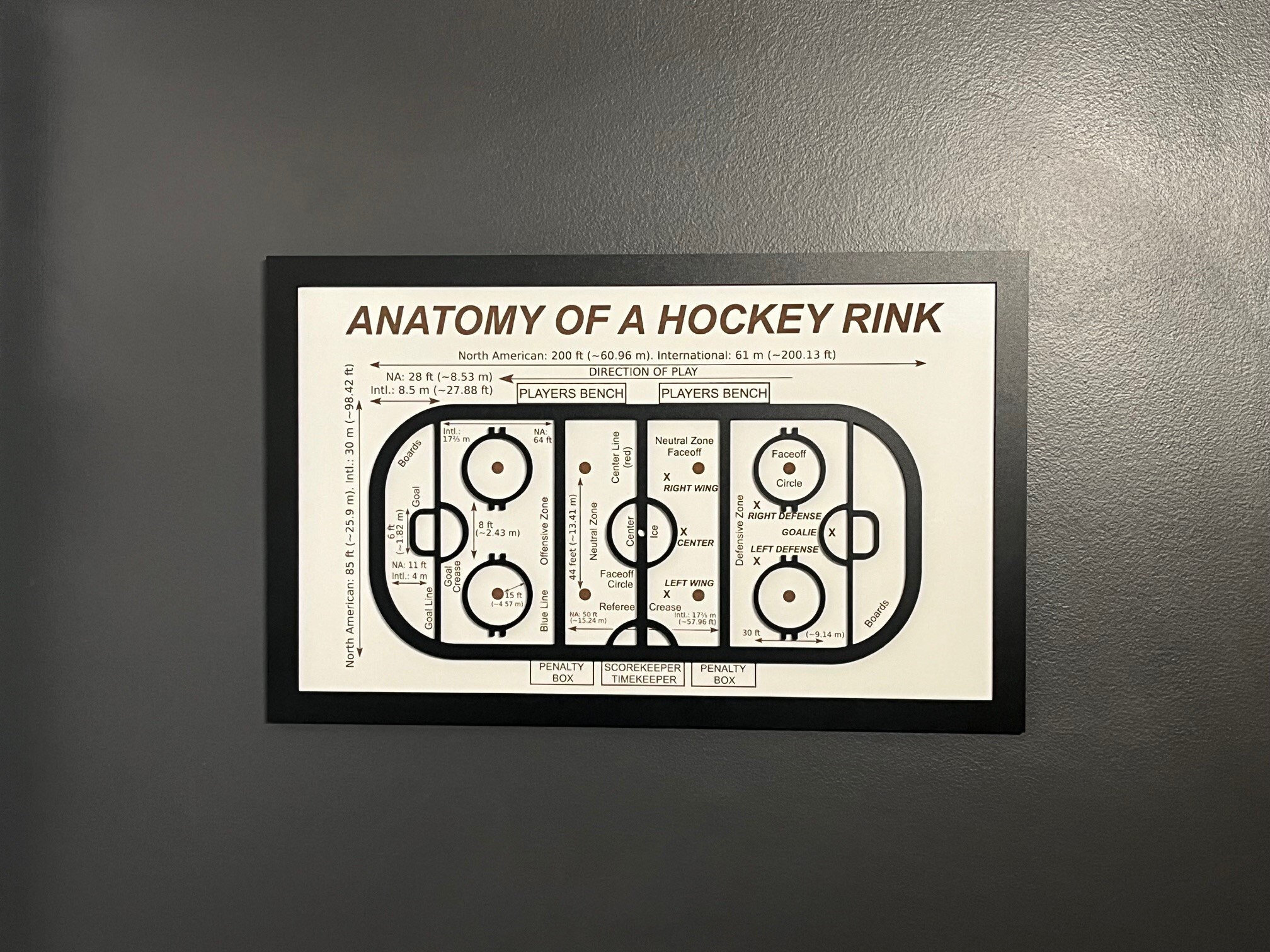 Hockey Rink Diagram, 3D Art Wood Sign, Anatomy of Hockey Rink, Gift, Coach, Decor, Coach Gift, Hockey Wall Art