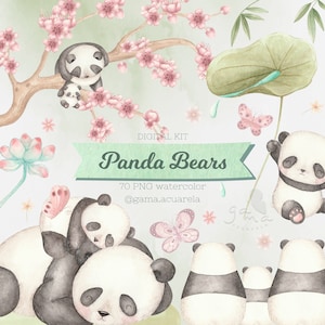 Panda clipart beren, bamboe, puppy, moeder, digitale kit, png, aquarel, decoratie, briefpapier, clipart, handgemaakt, automatische download
