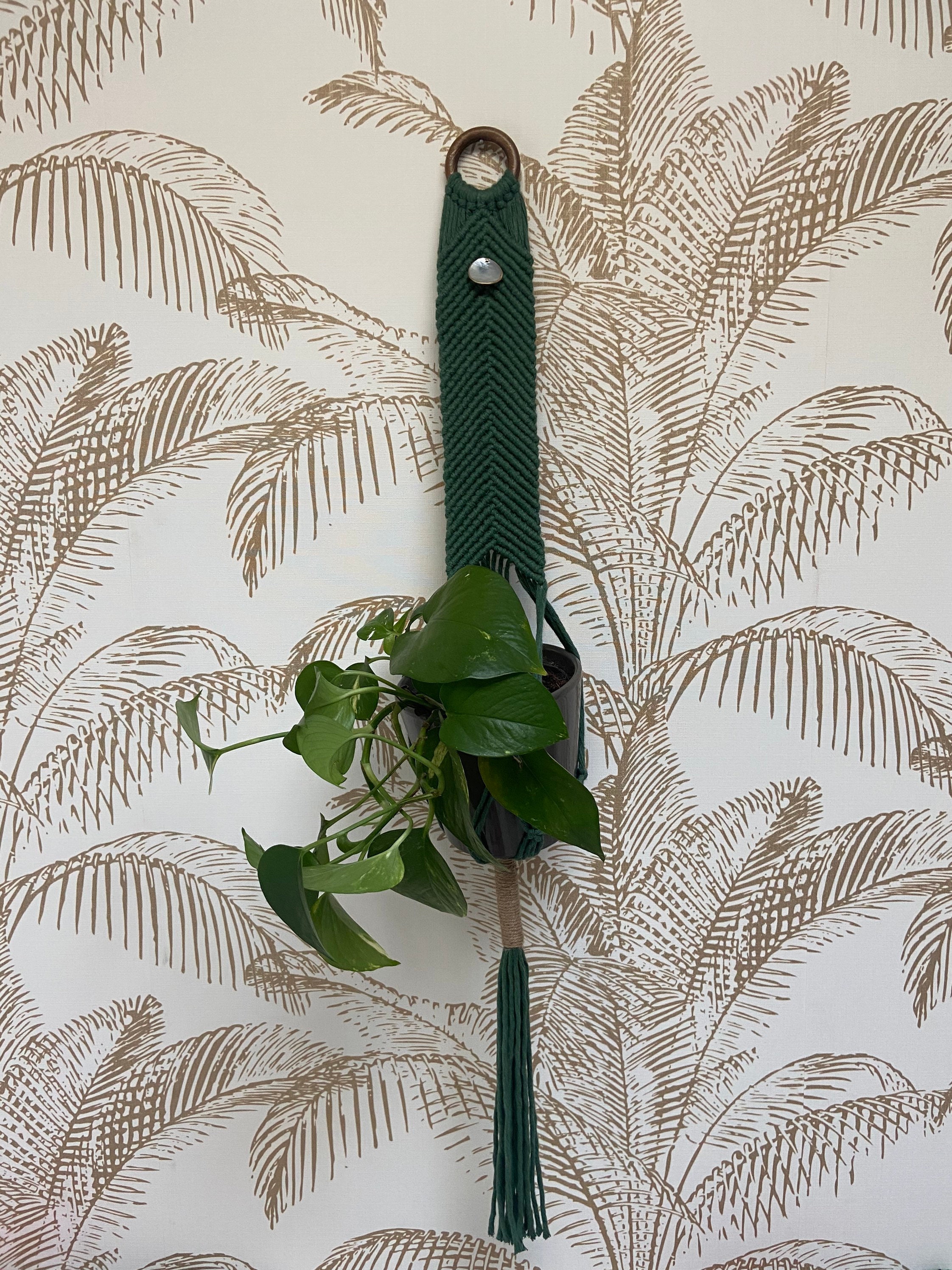 Porte-Plante/Suspension Pour Plante en Macramé et Anneau Bois