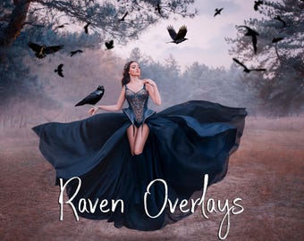 40 Realistic Raven Photo Overlays: Halloween PNG Images (Digital Download)