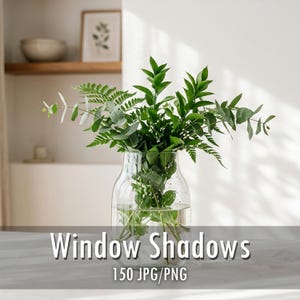May include: A clear glass vase filled with a lush arrangement of green eucalyptus branches and delicate fern fronds. The vase is filled with water, and the stems are visible through the glass. The text Window Shadows 150 JPG/PNG is present.