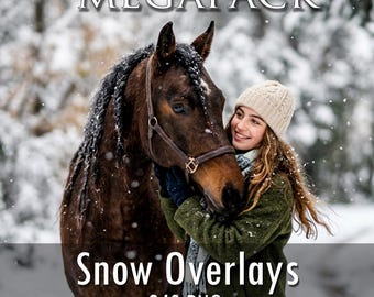 340 Snow Photo Overlays: Realistic Falling Snow, Bokeh Effects (PNG & JPG Digital Download)