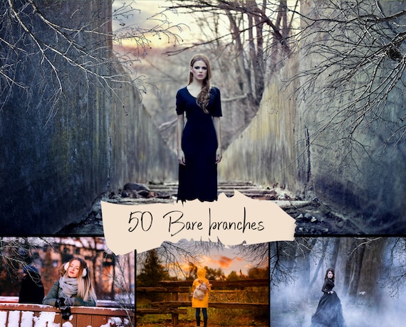 50 Bare branches overlays, Halloween Overlays