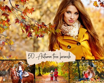 50 Autumn tree branch and leaves overlays