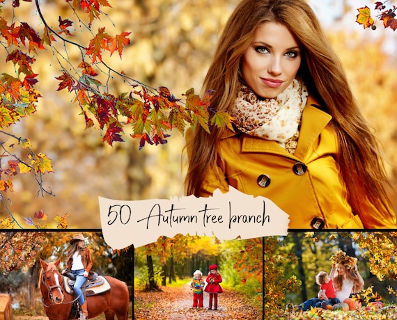 50 Autumn tree branch and leaves overlays