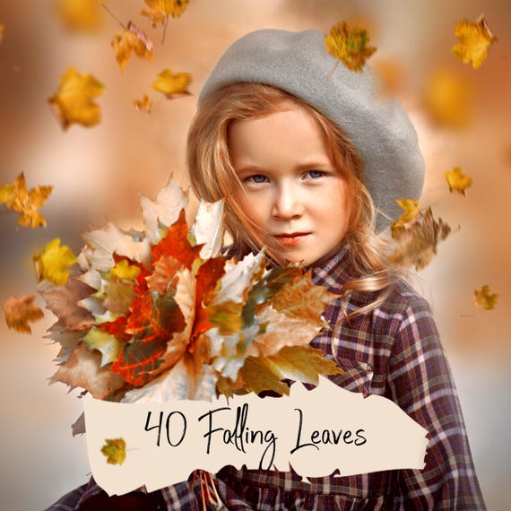 40 Autumn leaves overlays, Png files