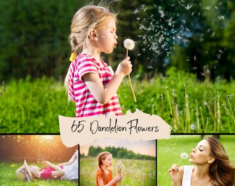 65 Dandelion flower overlays