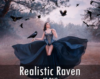 40 Realistic Raven Photo Overlays: Halloween PNG Images (Digital Download)