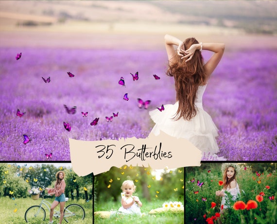 35 Butterfly overlays