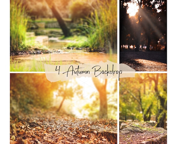 4 Autumn high quality backdrops