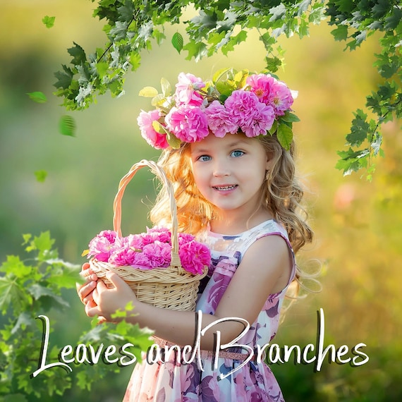 80 Green leaves and branches photoshop overlays PNG