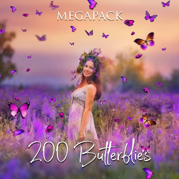 200 Butterfliesy overlays PNG