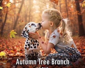 50 Autumn tree branch and leaves overlays, Transparent PNG