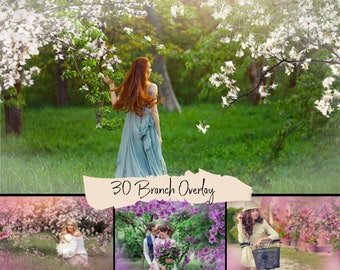 30 Blooming spring branch overlays