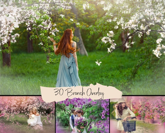 30 Blooming spring branch overlays