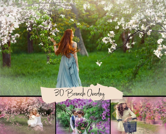 30 Blooming spring branch overlays