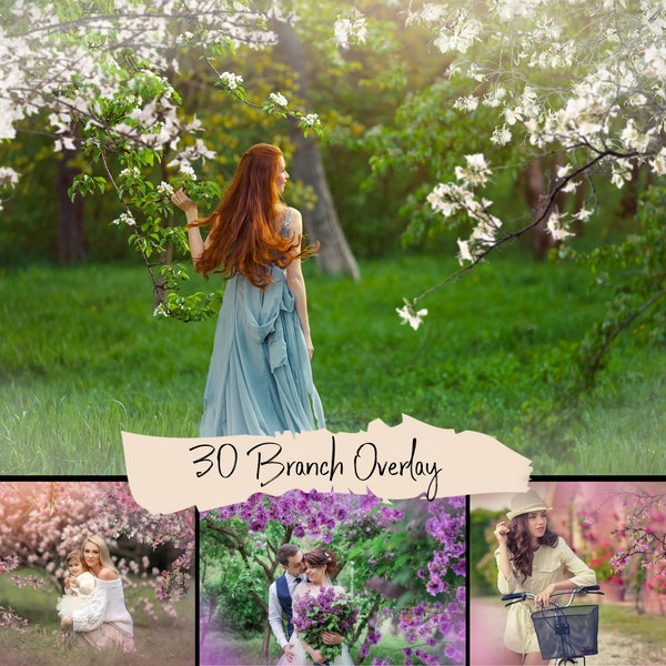 30 Blooming spring branch overlays