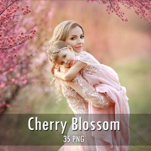 35 överlägg med körsbärsblommor, PNG-filer