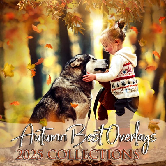 100+  Autumn 2025 Overlays Collectios