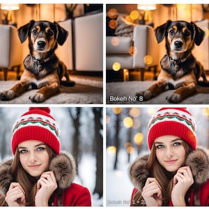 May include: A composite image showing a brown and black dog lying down and a person wearing a red knit beanie with a white and green pattern, a red coat with a brown fur-trimmed hood, and text labels reading Bokeh No 8 and Bokeh No 1 + 23.