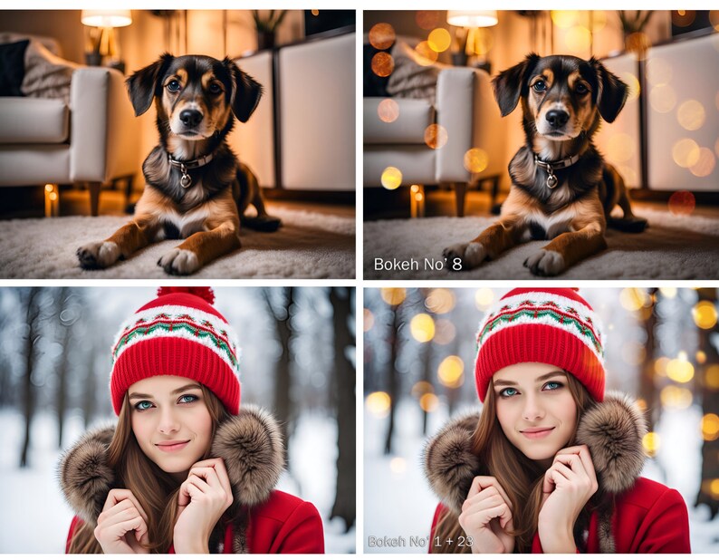 May include: A composite image showing a brown and black dog lying down and a person wearing a red knit beanie with a white and green pattern, a red coat with a brown fur-trimmed hood, and text labels reading Bokeh No 8 and Bokeh No 1 + 23.