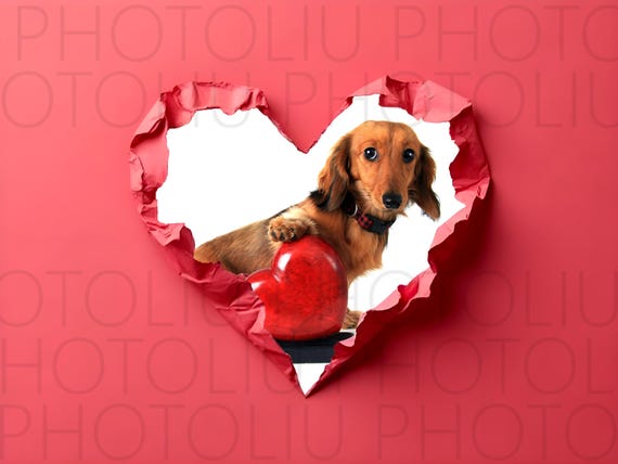 7 Ripped Paper PNG, Photoshop Overlay Torn paper, Overlay valentines day digital backdrop red pink photography overlay DIGITAL DOWNLOAD