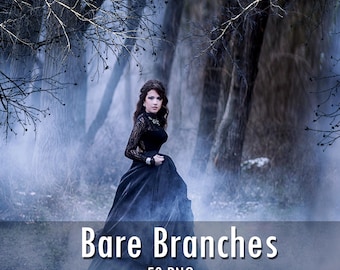 50 Bare branches overlays, Halloween Overlays, Transparent PNG