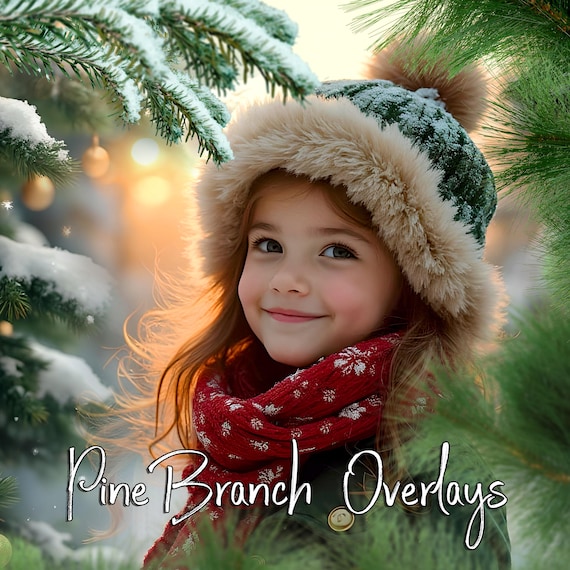 50 Pine branch overlays, leaves and branches photoshop overlays PNG