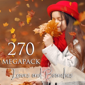 270 秋の葉と枝のオーバーレイ、Png ファイル